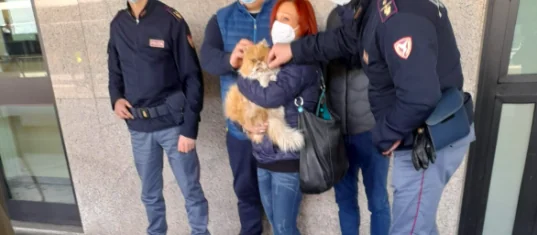 Lo fanno scendere dal treno e scappa: ritrovato Grisù